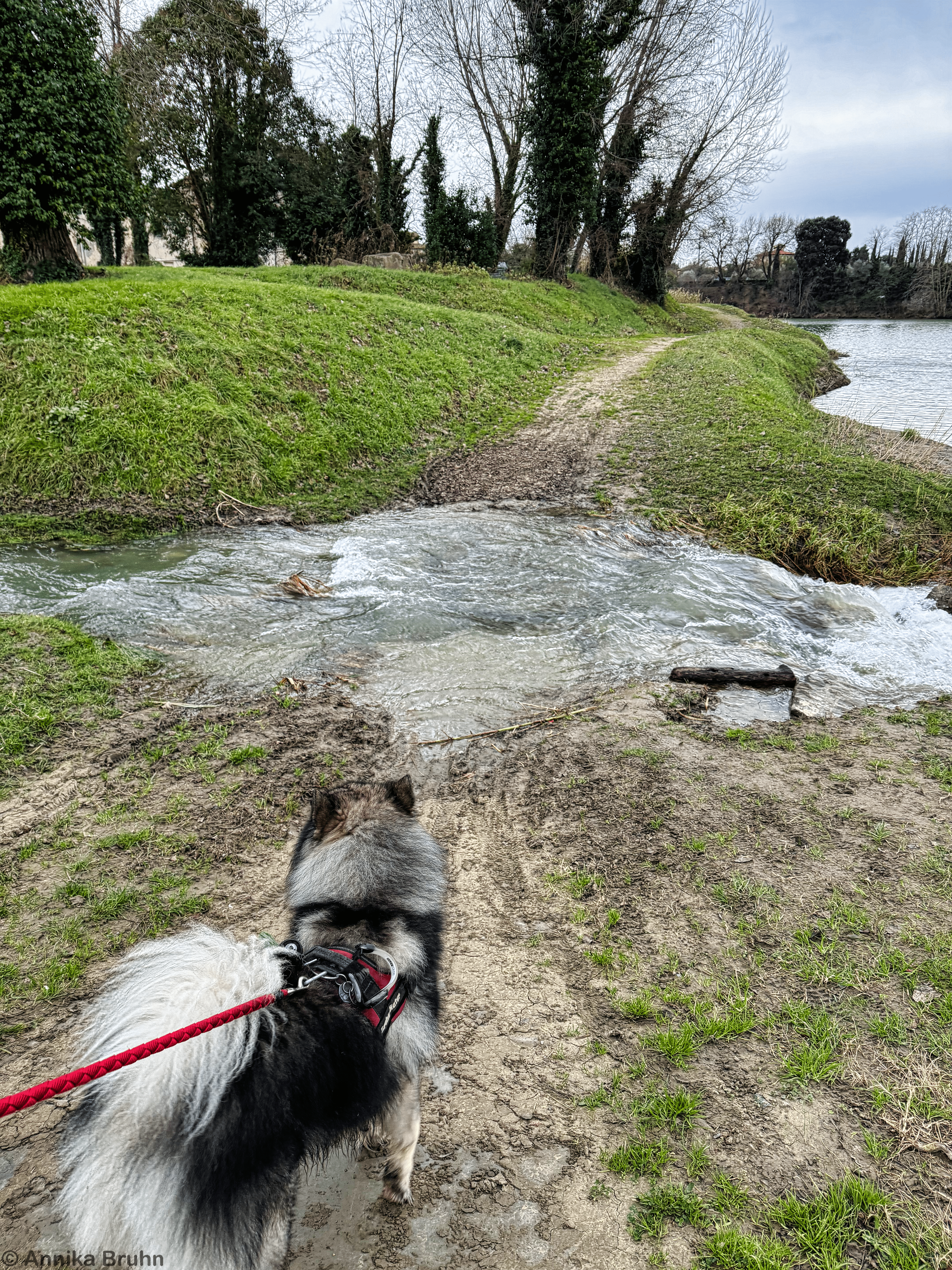 Kleiner reisender Fluss